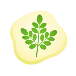 Moringa Extract